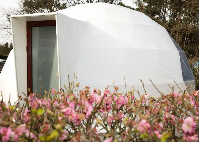 Costa Kabrita Camping