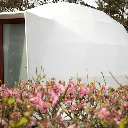 Costa Kabrita Camping